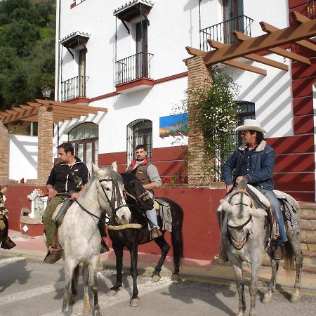 Apartamentos Rurales Mirador de Jubrique Exterior foto
